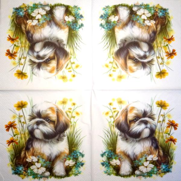918 Hunde - 3-lagig - Specials
